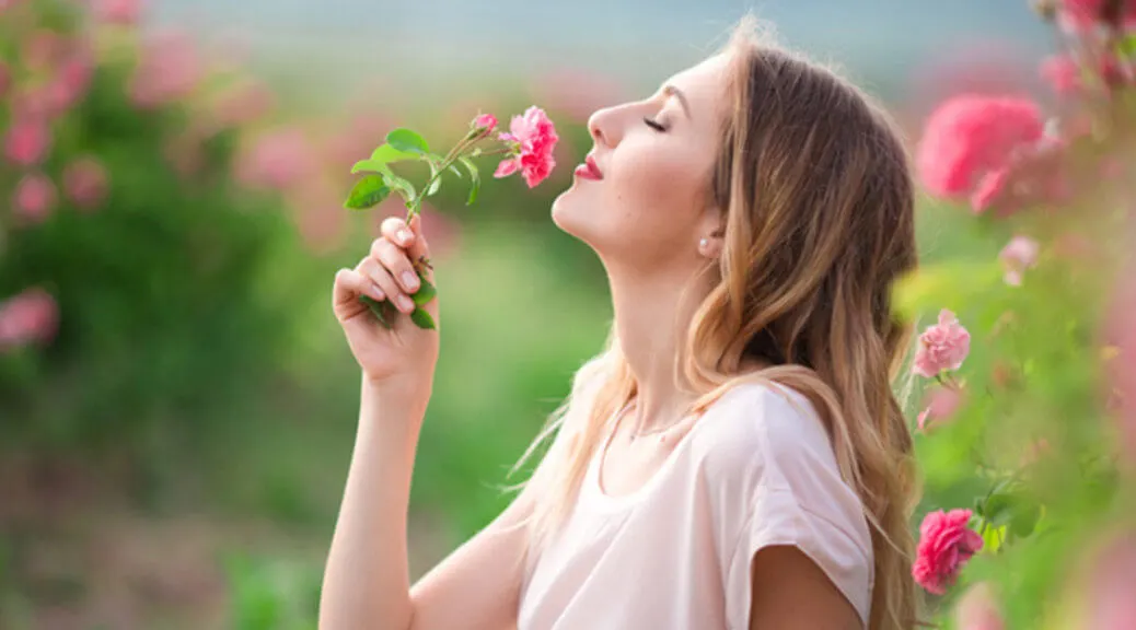 PlantTherapy-Blog-StockImages-Isolates-04-1038x576.jpg?v=1683725864