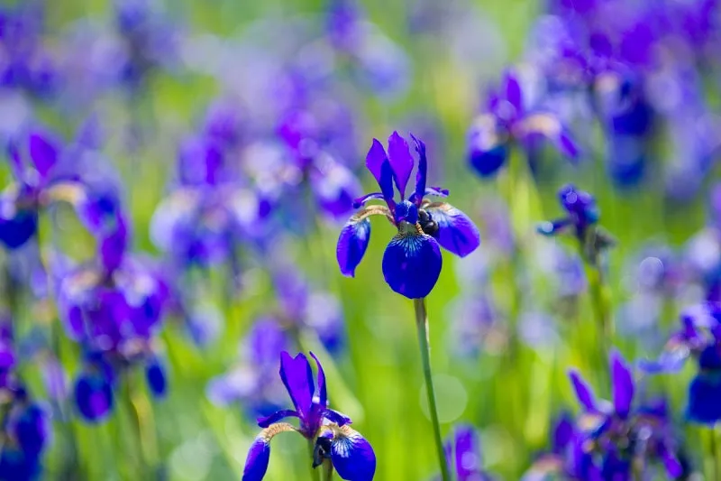 tip004t121024_l.jpg?type=w800