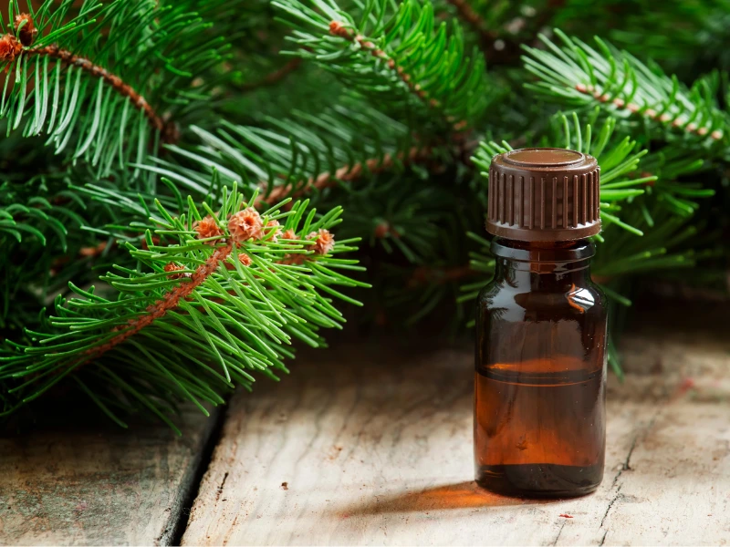 Fir_essential_oil_3.png?v=1658688856