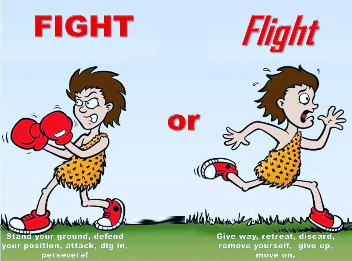 Screen+Shot+2019-06-25+at+9.36.18+AM.png?format=1500w