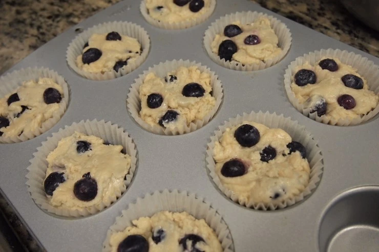 P6286947.JPG?type=w1