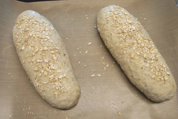 P4116539.JPG?type=w1