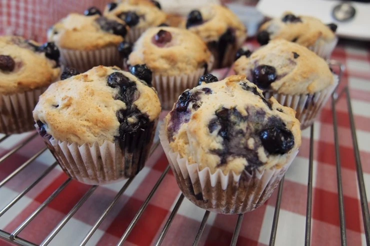 P6286959.JPG?type=w1