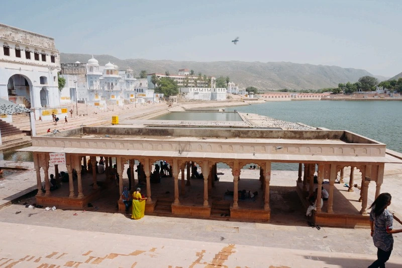 image_2797591161476155078939.jpg?type=w966