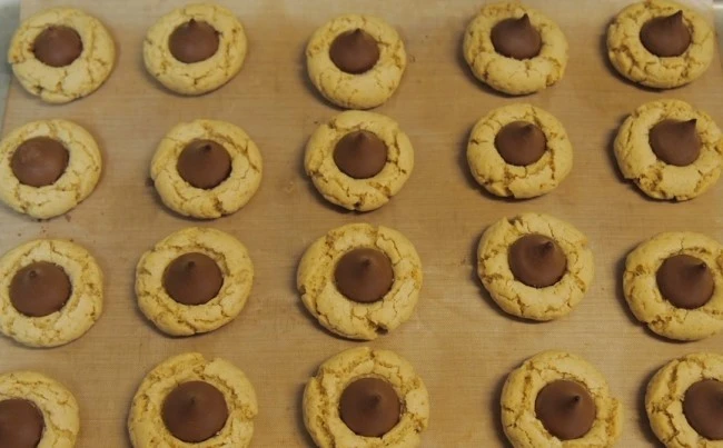 P2137460.JPG?type=w1