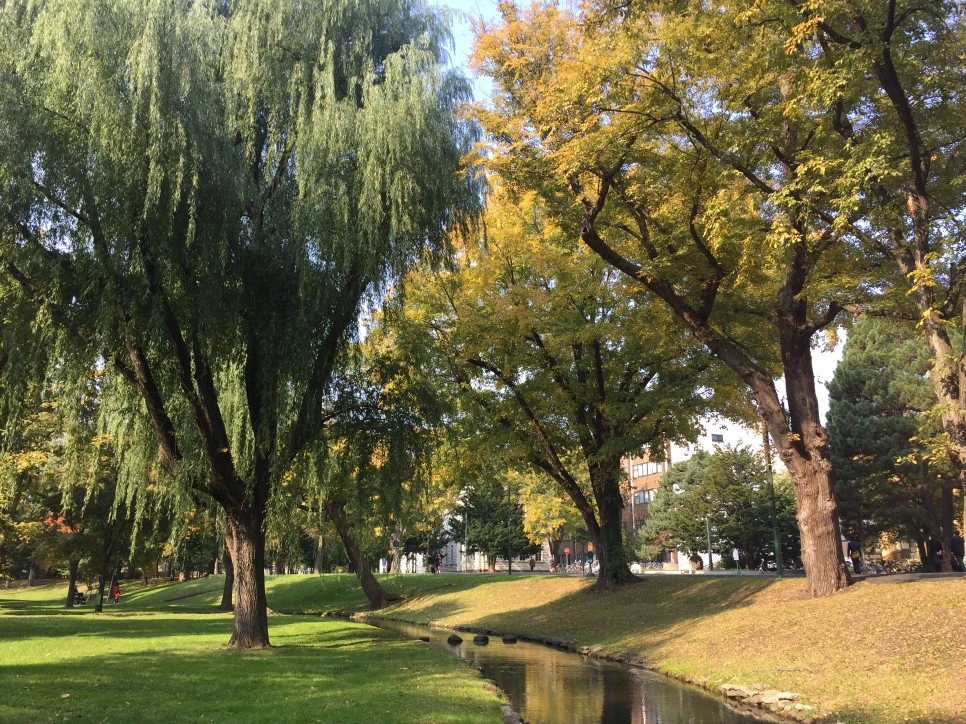 2016-10-16_09.49.34.jpg?type=w966