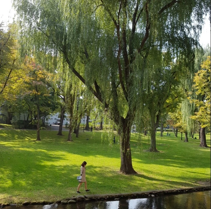 image_9405811651477449779580.jpg?type=w966