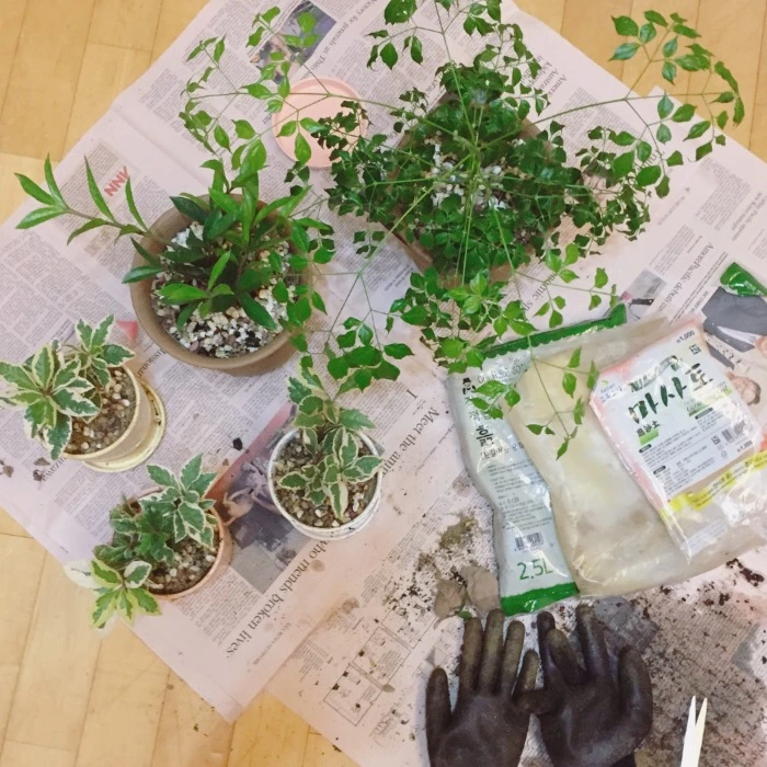 image_2494051271478166963701.jpg?type=w966