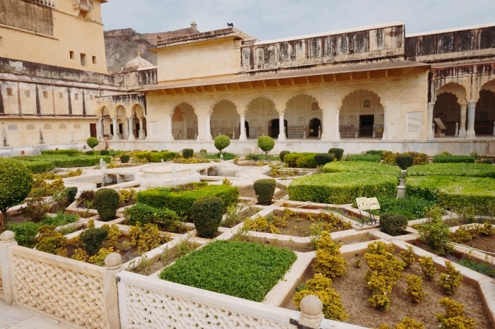 image_8434076941474510502786.jpg?type=w966