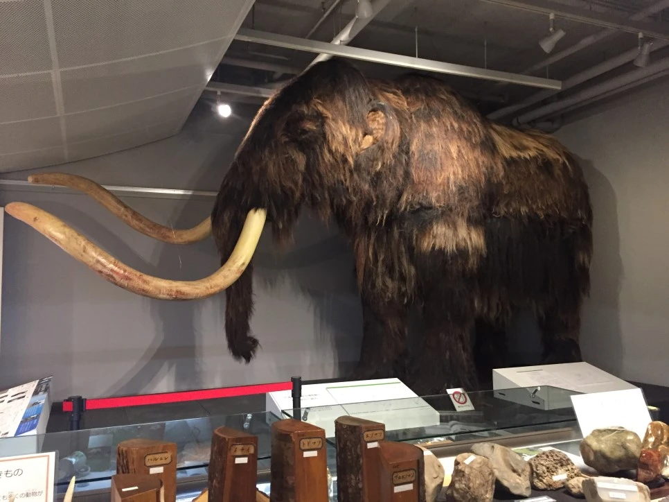 2016-10-16_10.24.34.jpg?type=w966