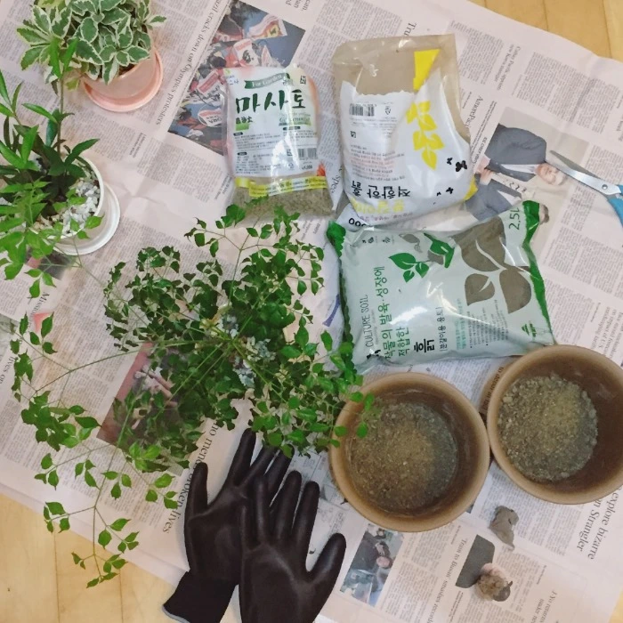 image_1727168891478166963705.jpg?type=w966