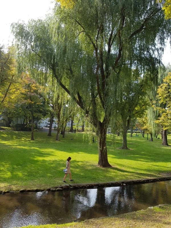 image_3797110011476762457085.jpg?type=w966