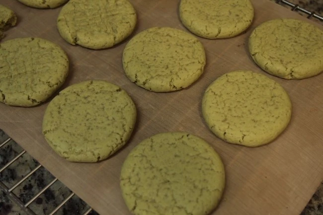 P2137437.JPG?type=w1