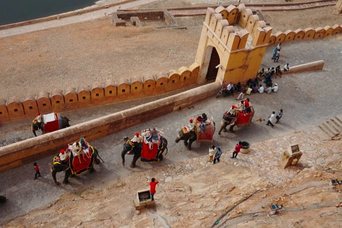 image_2071533431474510502784.jpg?type=w966