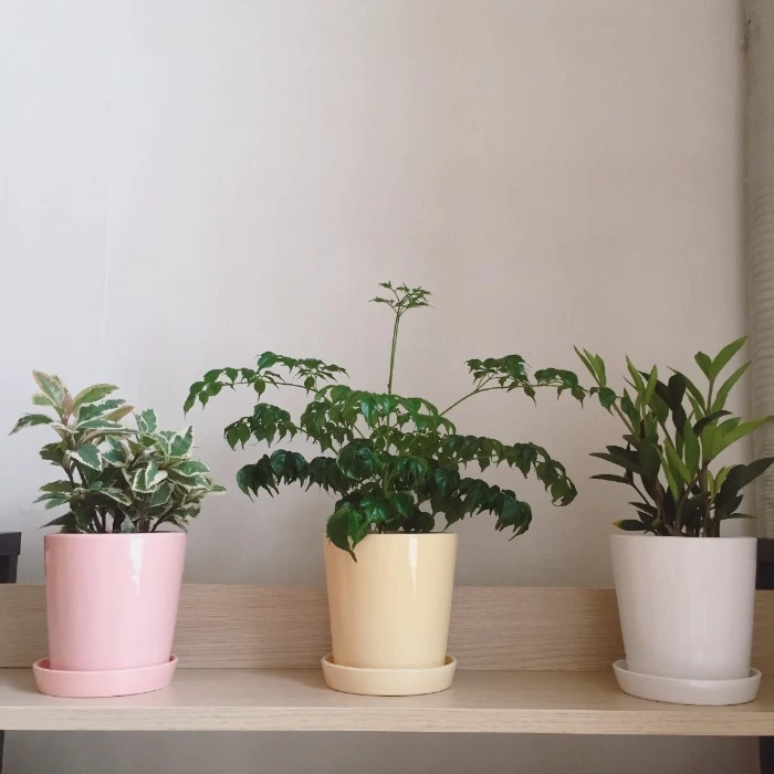 image_696653671478166535170.jpg?type=w966