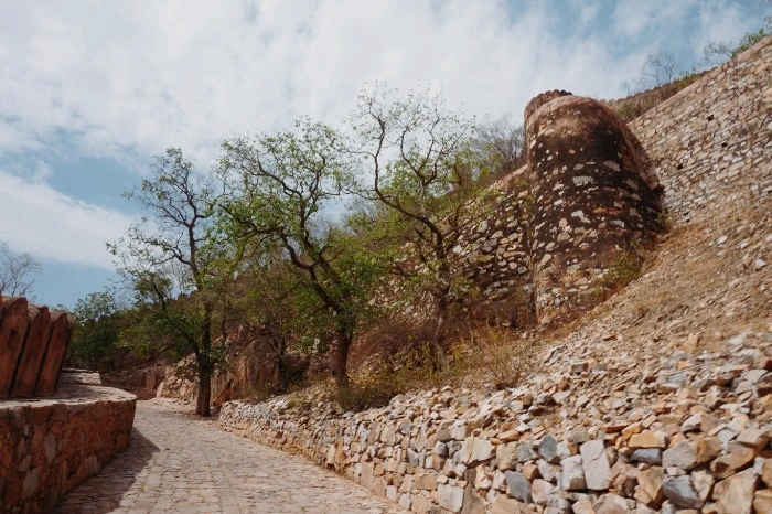 image_8854583531474510502789.jpg?type=w966