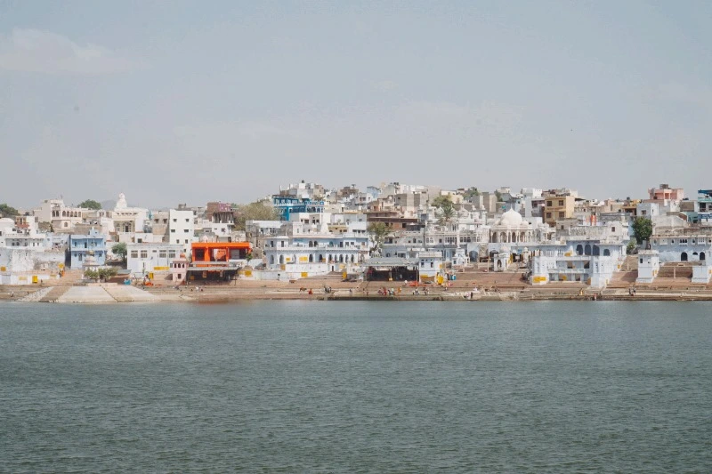 image_5713274641476155078942.jpg?type=w966