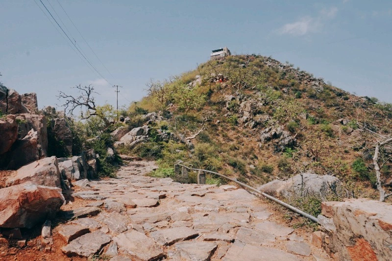 image_9825107901476155078945.jpg?type=w966