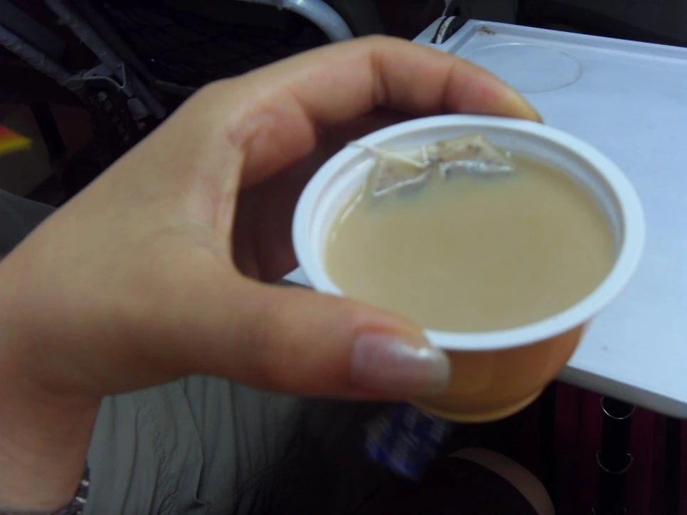 SDC12723.JPG?type=w966