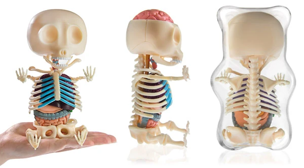 제이슨 프리니02.jpeg