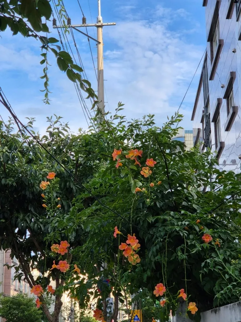 900%EF%BC%BF20250721%EF%BC%BF181838.jpg?type=w773