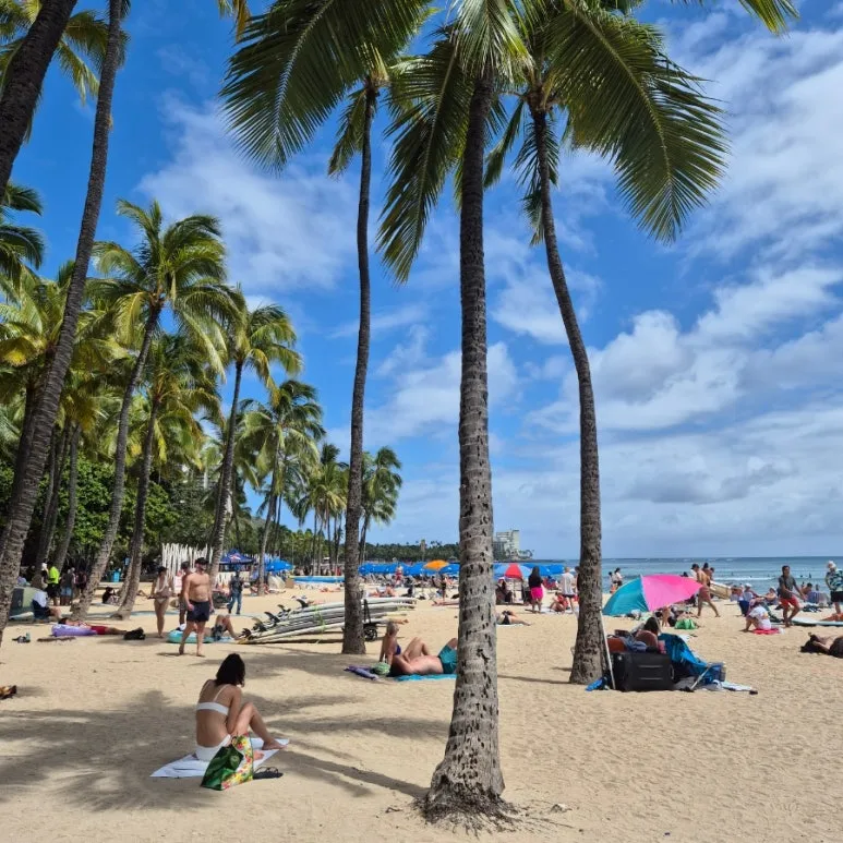 20240711%EF%BC%BF143235.jpg?type=w773