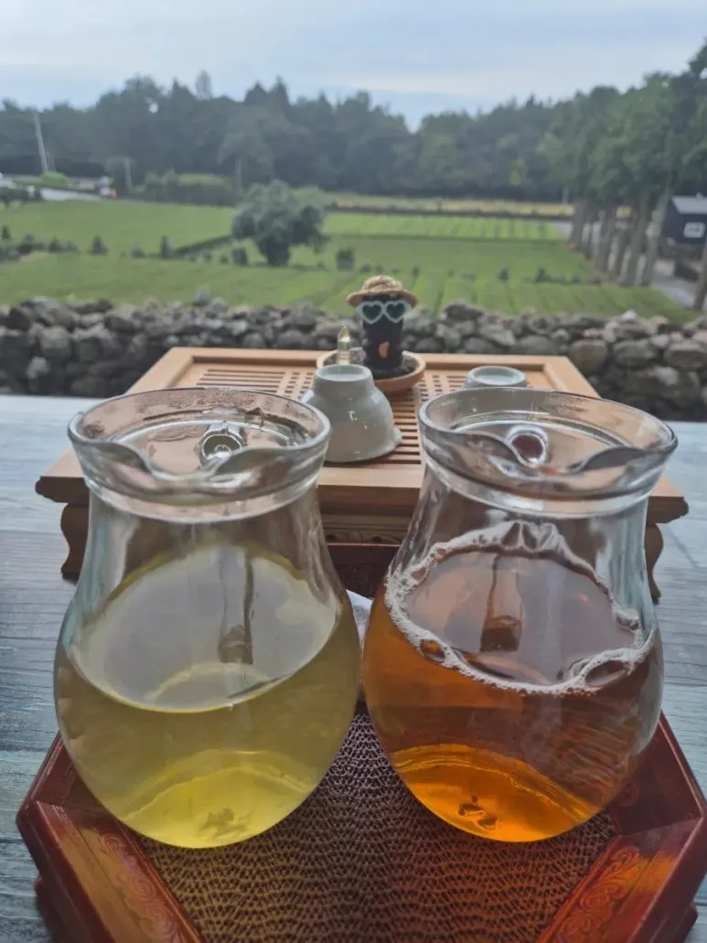 900%EF%BC%BF20251108%EF%BC%BF115430.jpg?type=w773