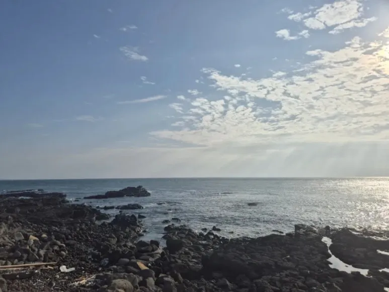 900%EF%BC%BF20251107%EF%BC%BF153821.jpg?type=w773