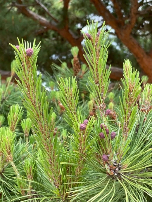 1_1b2Ud018svcrici9rtefd6f_i5ygm.jpg?type=w520