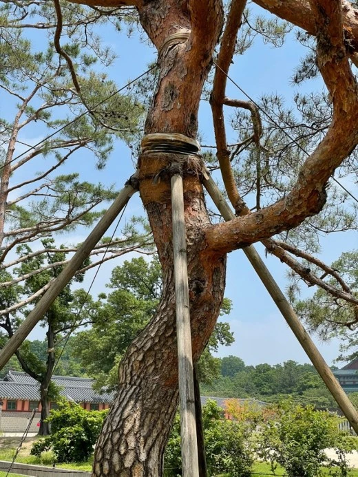 j_2b2Ud018svc2d173i82aicg_i5ygm.jpg?type=w520