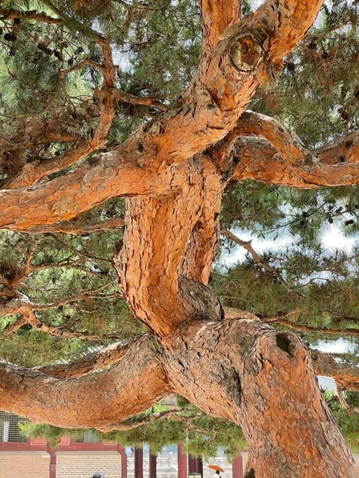 0_gb2Ud018svc50c7ks37gdc3_i5ygm.jpg?type=w520