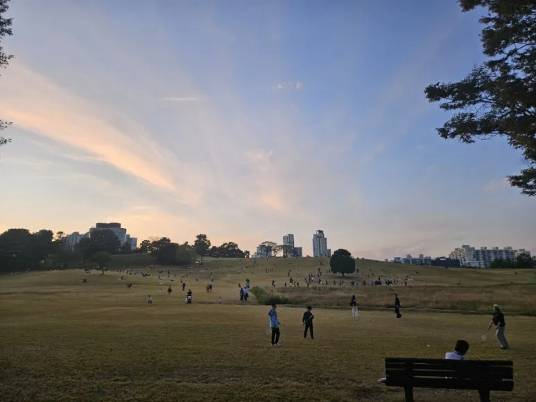 900%EF%BC%BF1730868389668%EF%BC%8D2.jpg?type=w773