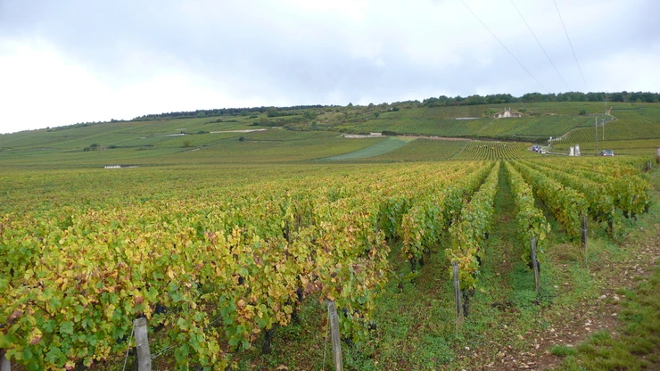 P1160546.JPG?type=w2