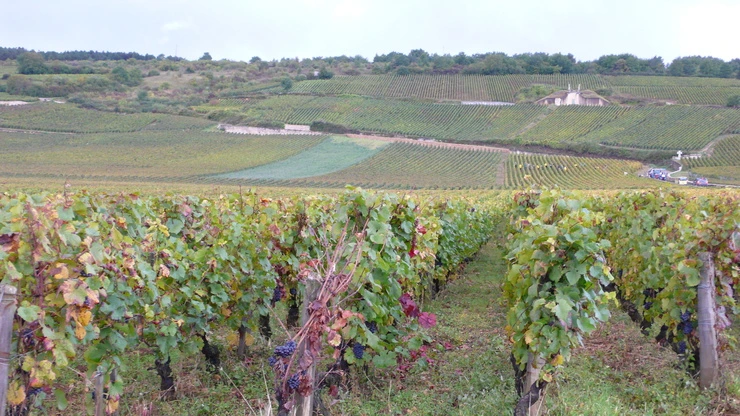 P1160542.JPG?type=w2