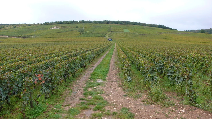 P1160700.JPG?type=w2