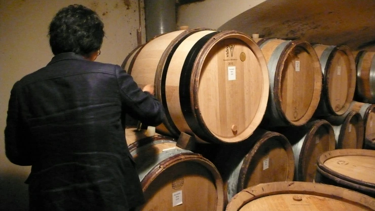 P1160668.JPG?type=w2