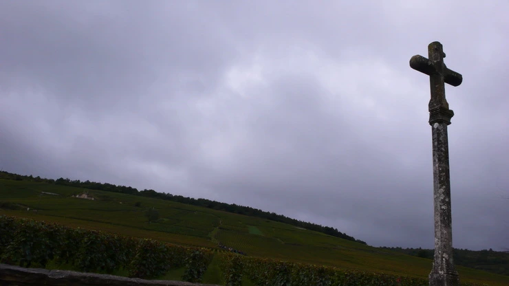 P1160705.JPG?type=w2