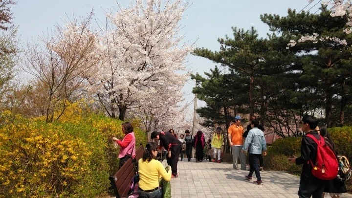 mug_obj_142933145141737885.jpg?type=w1080