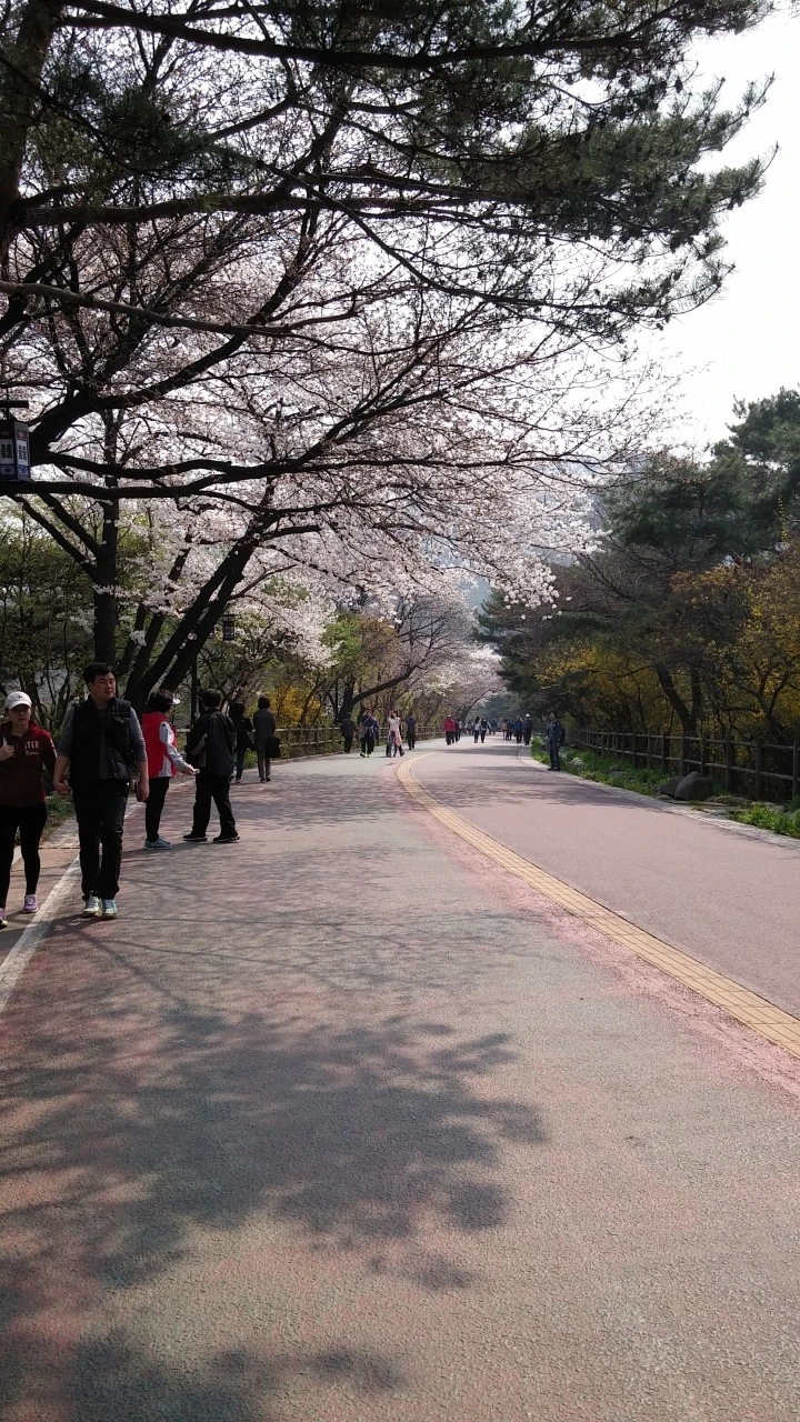 mug_obj_142933343260785293.jpg?type=w1080