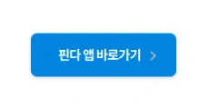 핀다앱 랜딩2.PNG
