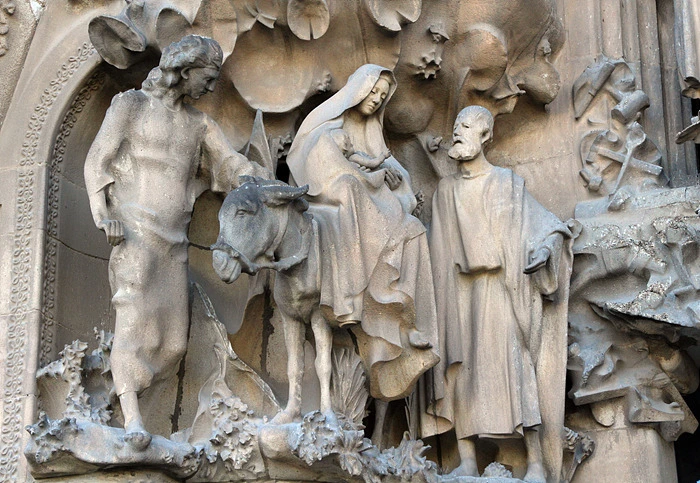 242A824955E9C62924F00E