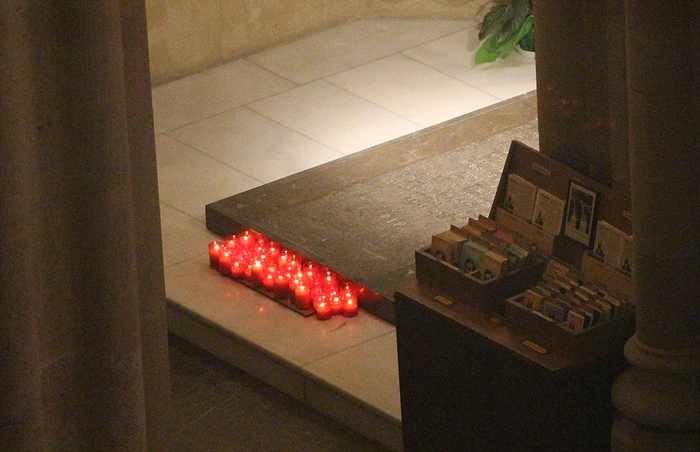 2277EC5055E9C63B2395DC