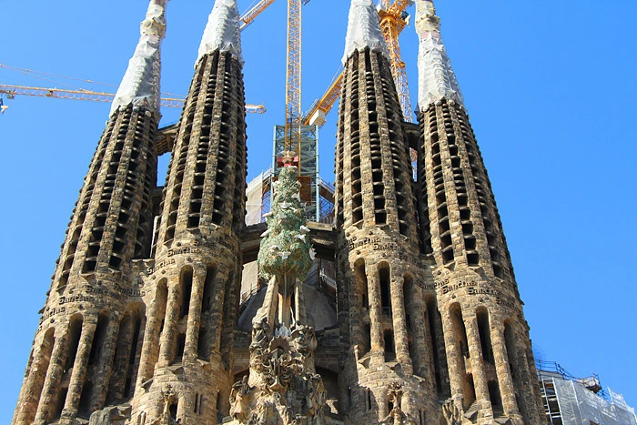 245A434F55E9C6842B5CE4