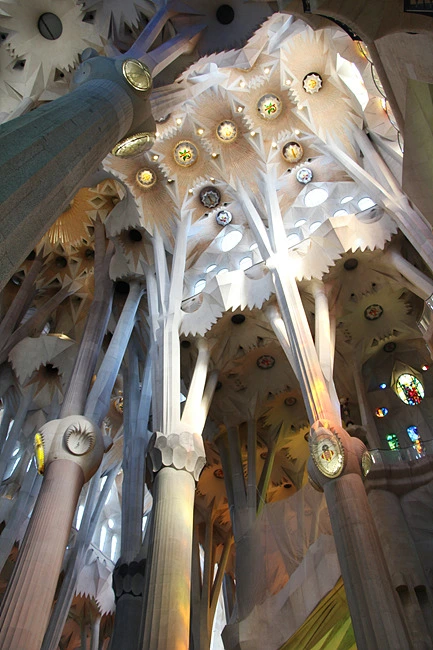 2424875055E9C63C047FDD