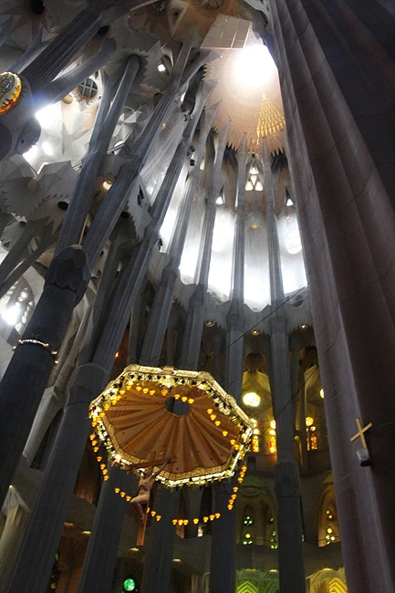 2578504F55E9C630132E5D