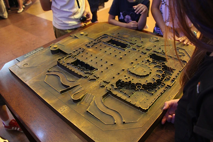 262F7E4955E9C635202B19