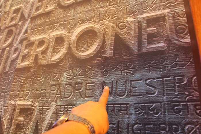 2455EF4955E9C636053070