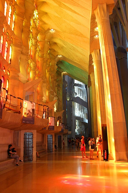 223D304955E9C63816ECCD