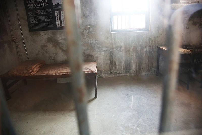 211A1D4A52ECE7362A5449