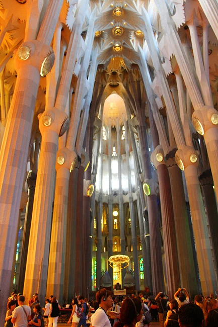 2458944955E9C637034908